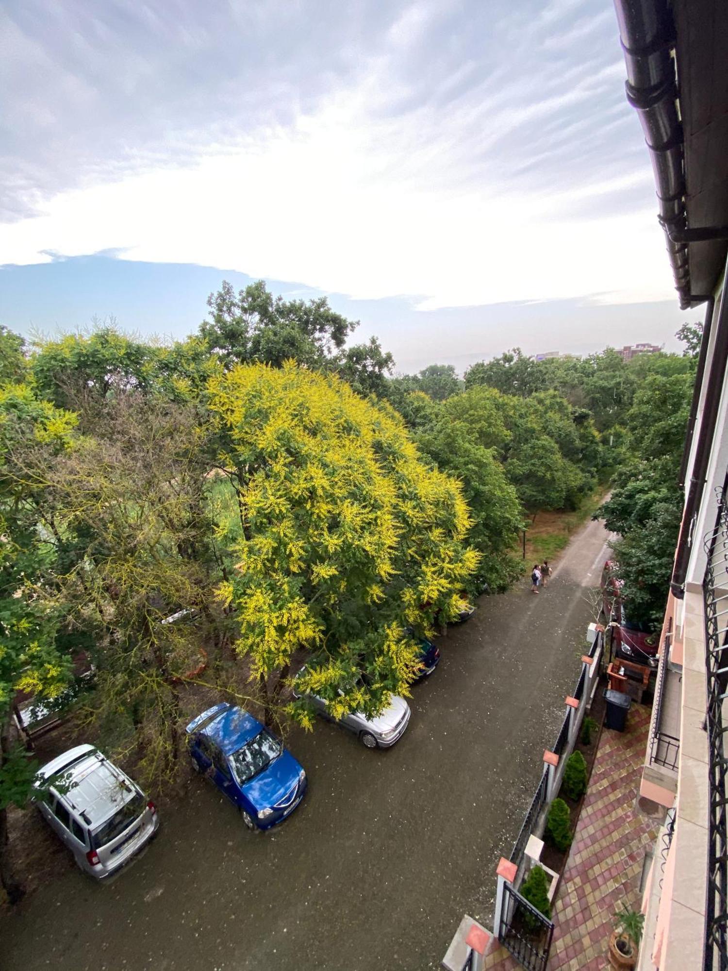 Vila Leul Jupiter Bagian luar foto